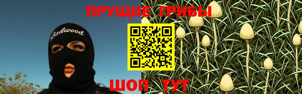 Псилоцибиновые грибы GOLDEN TEACHER Симферополь
